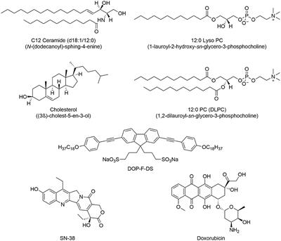 Lipid-Based Nanovesicles for Simultaneous Intracellular Delivery of Hydrophobic, Hydrophilic, and Amphiphilic Species